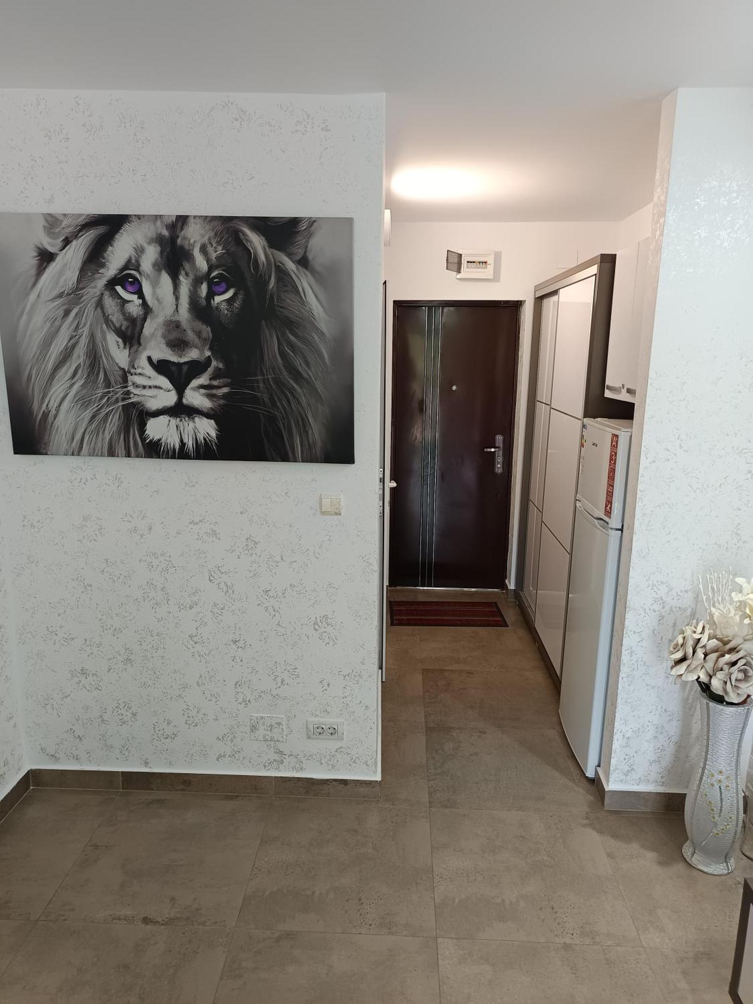 Dika Sofia Residence Mangalia Esterno foto