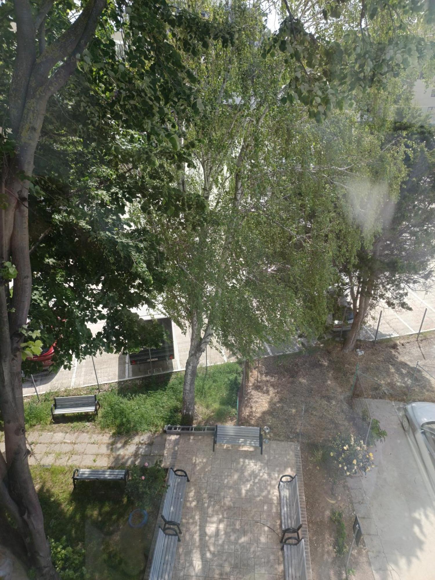 Dika Sofia Residence Mangalia Esterno foto